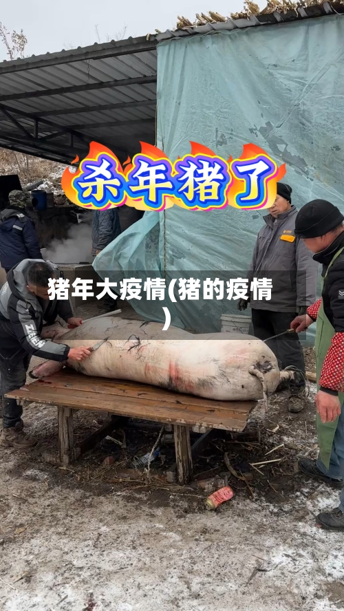 猪年大疫情(猪的疫情)