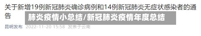 肺炎疫情小总结/新冠肺炎疫情年度总结