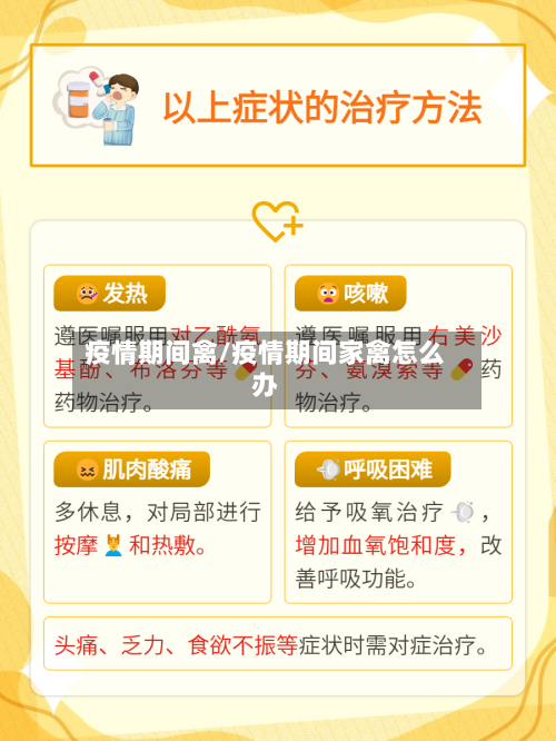 疫情期间禽/疫情期间家禽怎么办