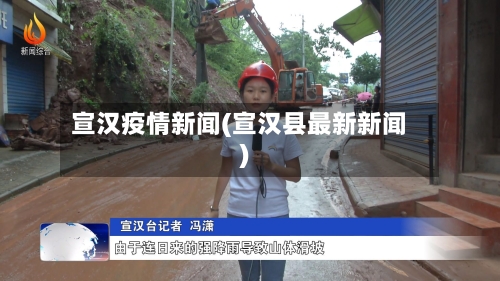 宣汉疫情新闻(宣汉县最新新闻)-第2张图片