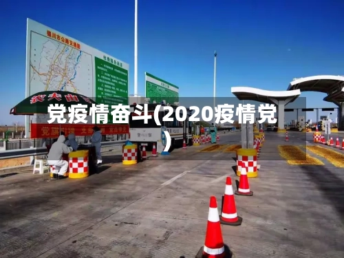 党疫情奋斗(2020疫情党)-第3张图片